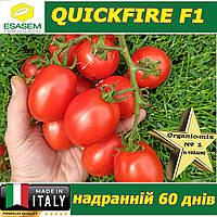 Томат надранній КВІКФАЄР F1 / QUICKFIRE F1, ТМ ESASEM (Італія)