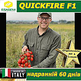 Томат надранній КВІКФАЄР F1 / QUICKFIRE F1, ТМ ESASEM (Італія), фото 3