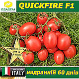 Томат надранній КВІКФАЄР F1 / QUICKFIRE F1, ТМ ESASEM (Італія), фото 4