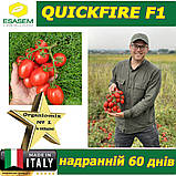 Томат надранній КВІКФАЄР F1 / QUICKFIRE F1, ТМ ESASEM (Італія), фото 5