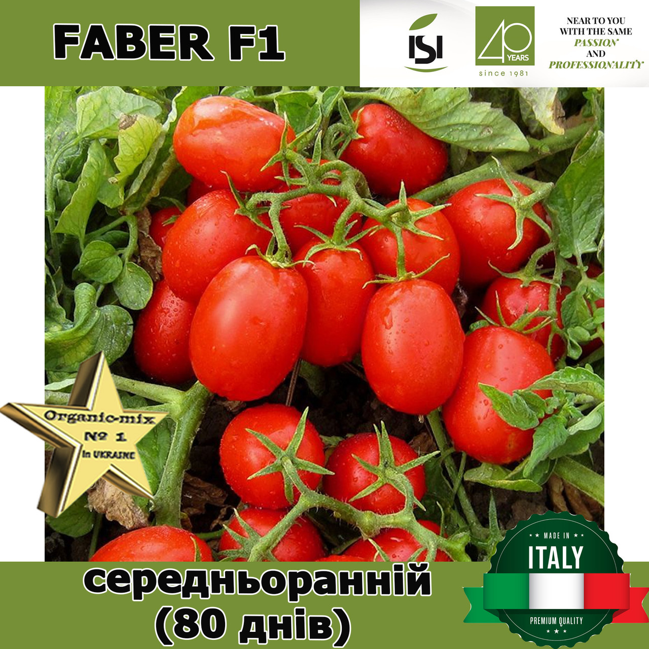 Томат середньоранній ФАБЕР F1 / FABER F1, ТМ Isi Sementi (Італія)