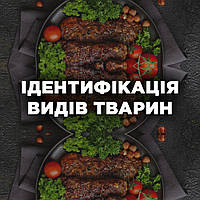 Ідентифікація видів тварин