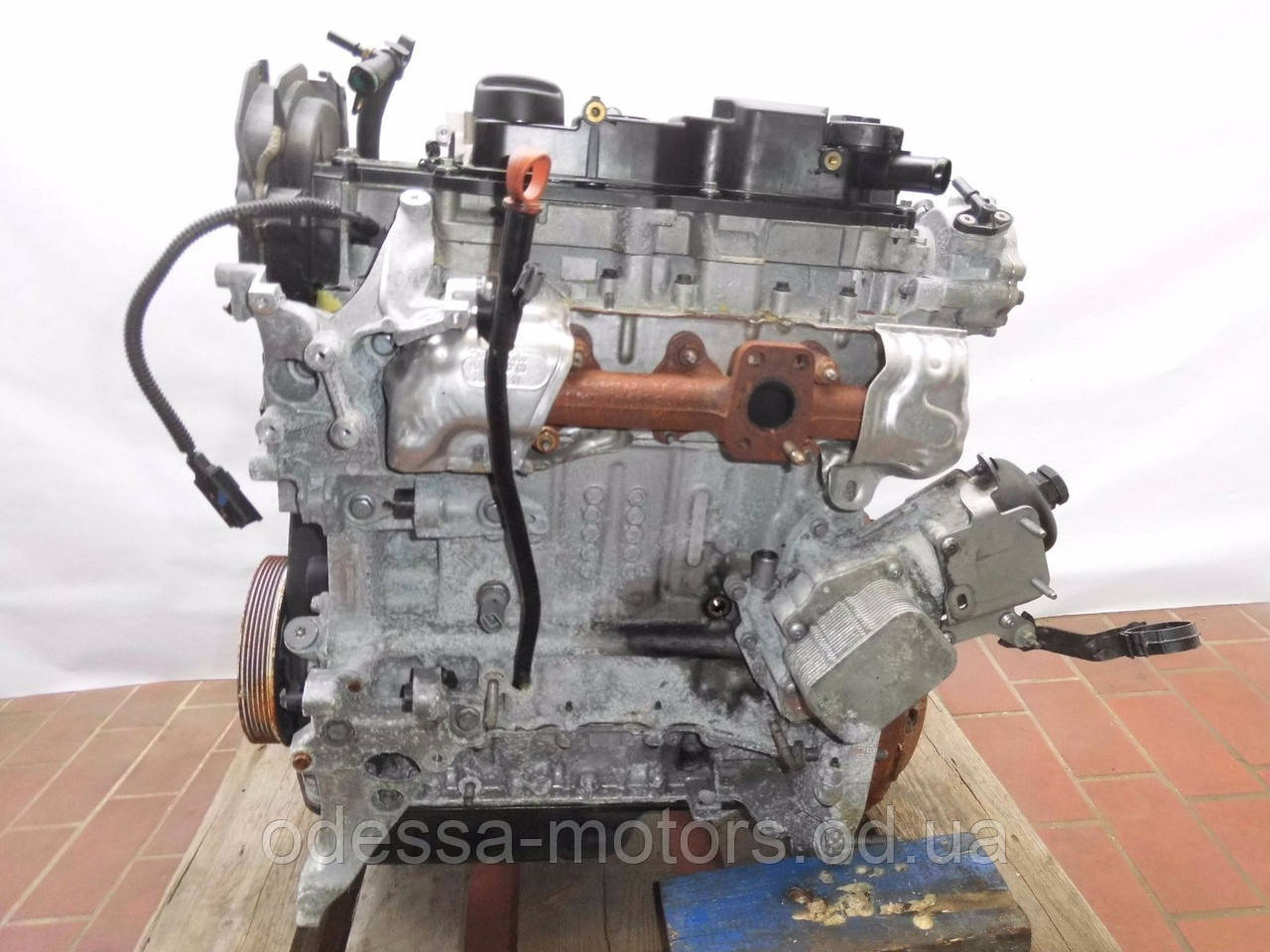 Двигун Citroën Berlingo 1.6 HDi 90, 2010-today тип мотора 9HP (DV6DTED), фото 1