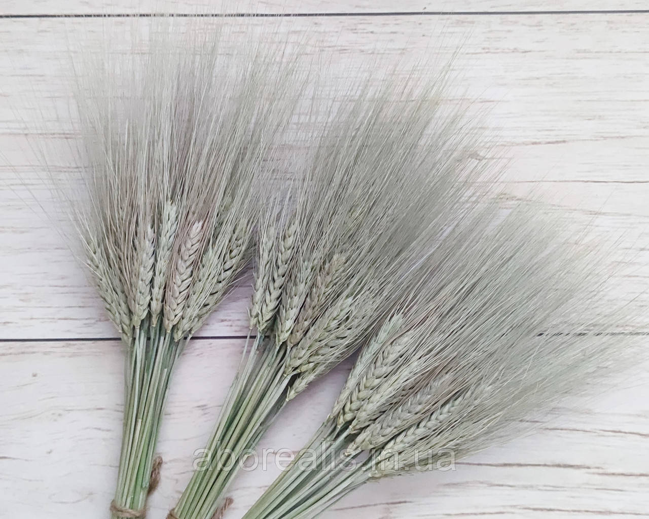 Колоски пшениці "Жизель" натуральні, пучок 30 шт, фото 1