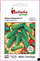 Огірок Атлантіс F1 20 шт Садиба Центр