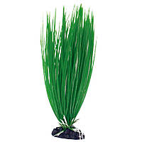 Рослина ACORUS CLASSIC MD, штучна., 18см *