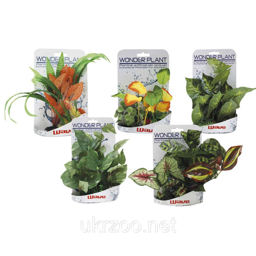 Рослини в асортименті WONDER SER. E, штучна., 15-25см,  5 видів (ціна за 1шт) *, фото 1
