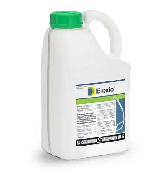 Інсектицид Енжіо 247 SC к.с., 5 л, фото 1