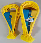 Замовити вимпелі в Києві, фото 10