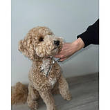 Набір ножиць для грумінгу домашніх тварин Purlov 23186 Польща, фото 9