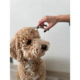 Набір ножиць для грумінгу домашніх тварин Purlov 23186 Польща, фото 8