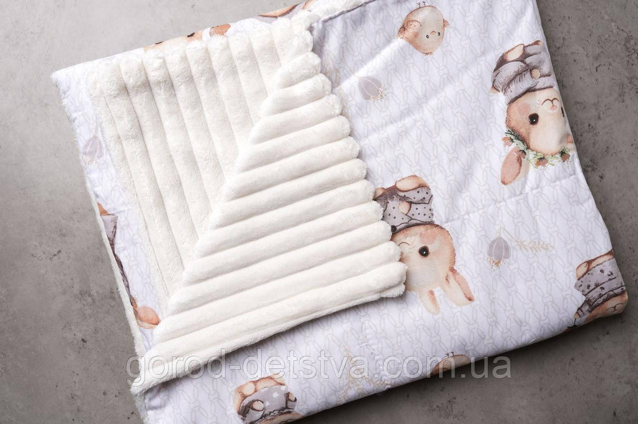 Дитячий плюшевий плед для новонародженого літній весняний осінній пледик в пологовий будинок плед в коляску, фото 1