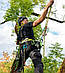 Edelrid Edelrid TreeRaptor Size 1, фото 8