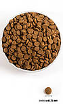 Корм ACANA Classics Prairie Poultry 14,5 кг., фото 4