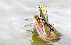 Приманка в виде реалистичных глаз 8 мм, Holographic Gold, 100 шт., фото 2