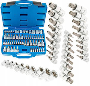 Набір головок TORX + біти в голівці TORX / E-TORX /TORX PLUS (1/4 / 3/8 "/ 1/2") 60 од. Vorfal V08065, фото 1