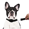 Регульований повідець із нашийником для собак Lucky Leash, фото 3