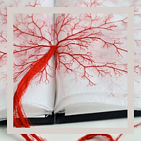 Браслети червона нитка