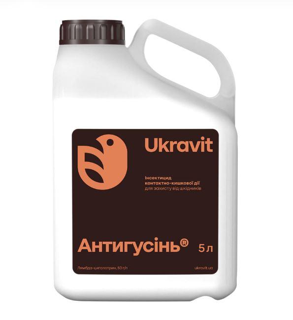 Інсектицид Антигусінь к.с., 5 л