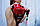 Рукавички для фітнесу Power System PS-2250E Pro Grip EVO Red XL, фото 11