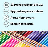 Кольорові олівці преміум-класу EVAZAR з м`яким грифелем 130 кольорів у нейлоновій сумці, фото 6