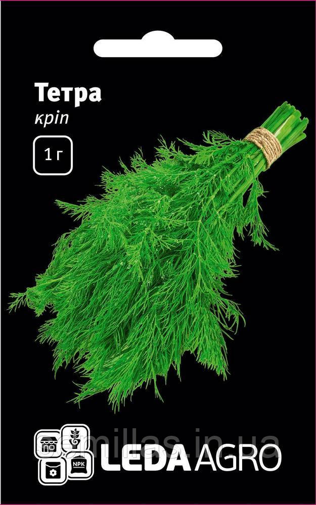 Насіння кропу Тетра, 1 гр., кущового, ТМ "ЛєдаАгро", фото 1