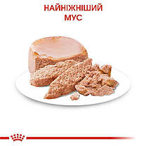 Вологий корм для цуценят ROYAL CANIN STARTER MOUSSE в період відлучення мус 195 г, фото 3