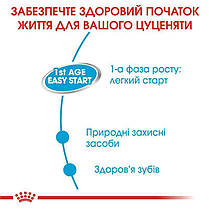 Вологий корм для цуценят ROYAL CANIN STARTER MOUSSE в період відлучення мус 195 г, фото 4