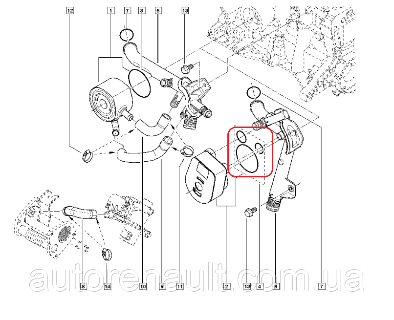 Прокладка масляного радиатора (теплообменника) на Рено Доккер 1.5 (K9K) Renault (Оригинал) - 7701475118 - фото 7 - id-p421352706