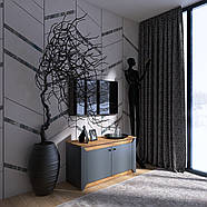 Тумба 2-х дверна закрита Еверест Нордік-980 98х38х53 см Графіт + Дуб крафт золотий (DTM-5526), фото 3