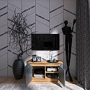 Тумба 2-х дверна закрита Еверест Нордік-980 98х38х53 см Графіт + Дуб крафт золотий (DTM-5526), фото 4