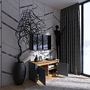 Тумба 2-х дверна закрита Еверест Нордік-980 98х38х53 см Графіт + Дуб крафт золотий (DTM-5526), фото 6