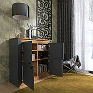 Тумба 4-х дверна закрита Еверест Нордік-980 98х38х92 см Графіт + Дуб крафт золотий (DTM-5528), фото 5