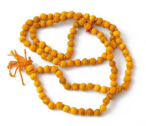 Чітки з кореня Куркуми перев'язані 8 мм.