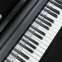 Наклейки на клавіші синтезатора, клавіші піаніно та іншого чорно-білі 88шт