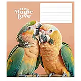 Зошит шкільний 24арк. у лінію Star ВД-лак //25шт/уп, фото 4