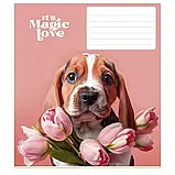 Зошит шкільний 24арк. у лінію Star ВД-лак //25шт/уп, фото 3