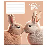 Зошит шкільний 24арк. у лінію Star ВД-лак //25шт/уп, фото 2