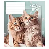 Зошит шкільний 24арк. у лінію Star ВД-лак //25шт/уп, фото 5