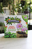 Ботанічні експерименти 82092 "4FUN Game Club", фото 5