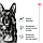 Royal Canin Maxi Adult 5+ (Роял Канін Максі) сухий корм для собак великих порід від 5 років, 15 КГ, фото 6