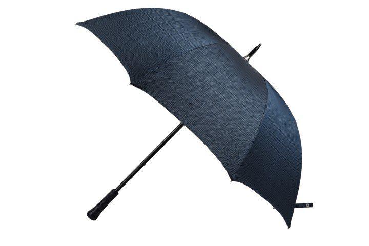Парасолька чоловіча «Принц Уельсська», синя, фото 1