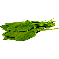 Насіння Щавлю