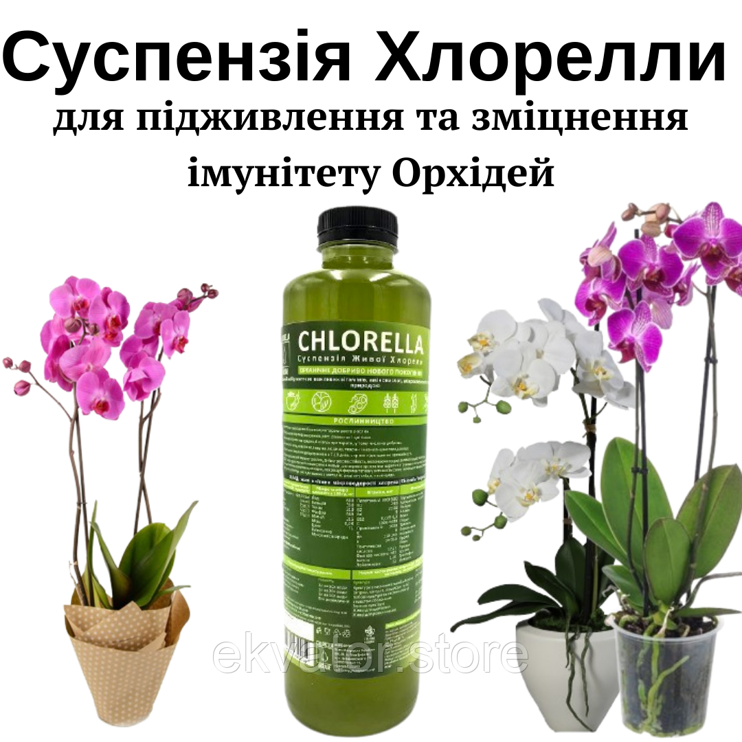 Добриво для підживлення та зміцнення імунітету орхідей: Суспензія Хлорелли, 1л