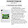 Біопрепарат для очищення водойм, позбавлення від цвітіння та заморів риби: Суспензія Хлорелли, 5 л, фото 5