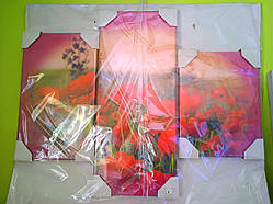 Модульна картина з 3 частин у вітальню Квіти Макі