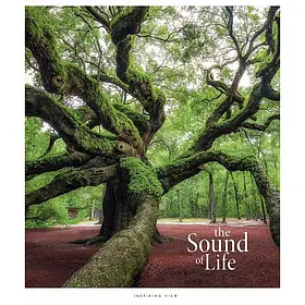 Зошит шкільний 96арк. у лінію Star УФ-лак // 5шт/уп