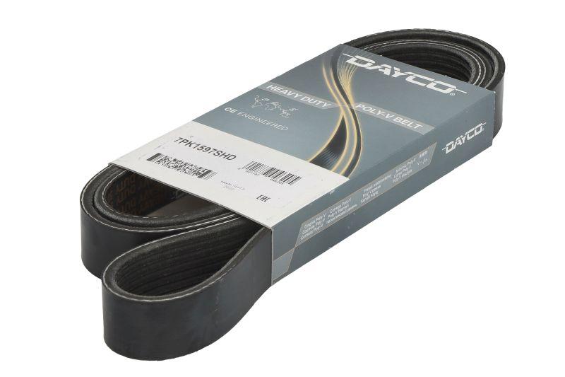 Ремень CANTER FEB01 (4P10) DAYCO