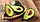 Масло из фрукта авокадо Pietro Coricelli Olio di Avocado 1000 мл (Италия), фото 5