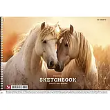 Альбом для малювання А4 30арк пружина УФ-лак Школярик PB-SC-030-8024, фото 3